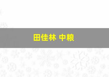 田佳林 中粮